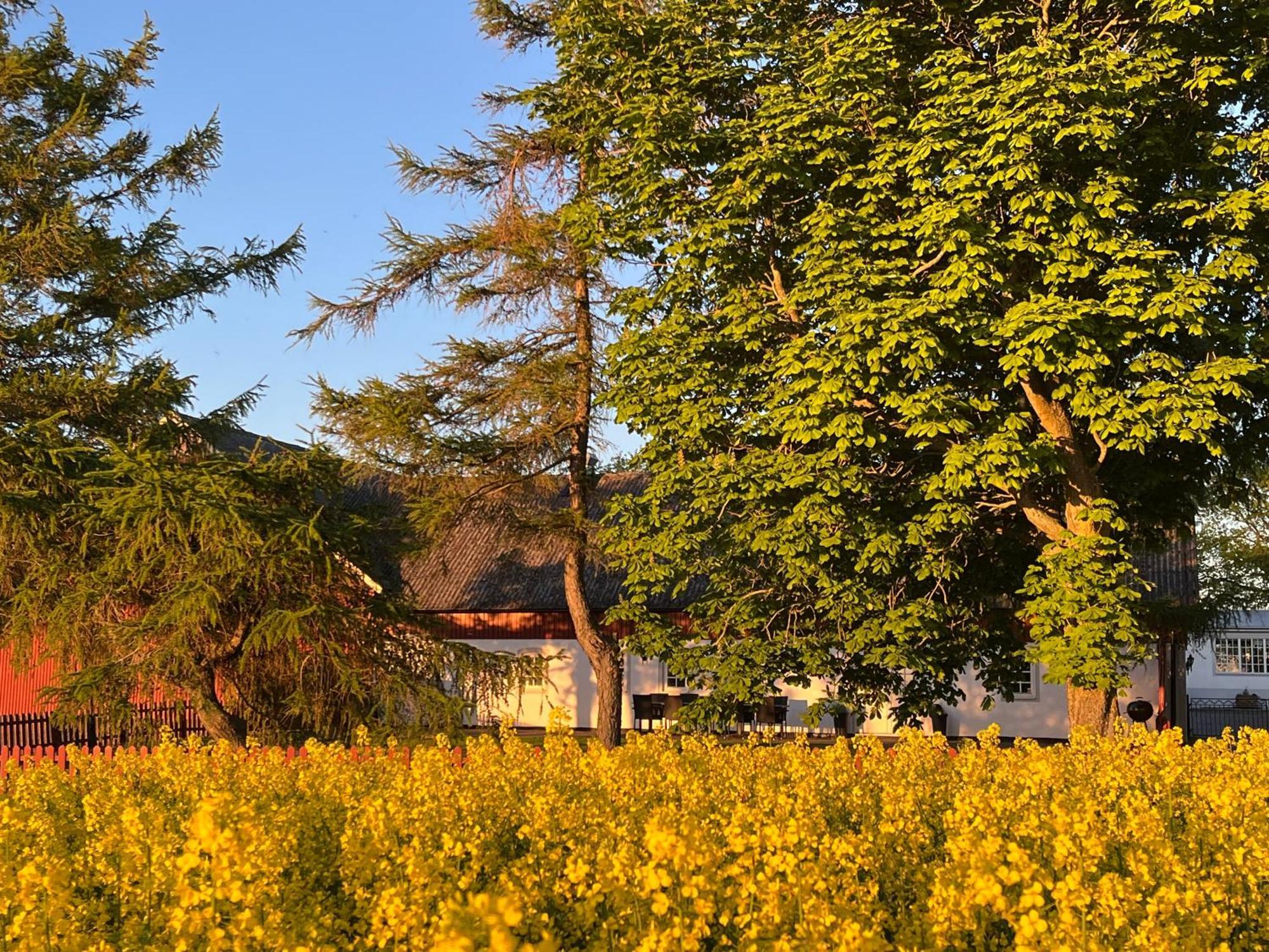 Sydkustens At Lillehem Skivarp Dış mekan fotoğraf